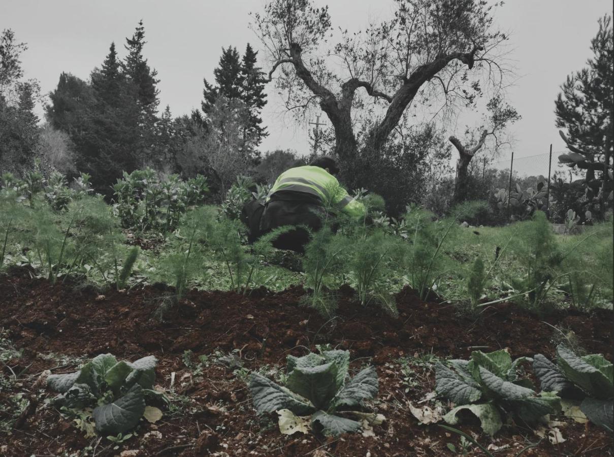 Bagnolo del Salento Salento Home Farm מראה חיצוני תמונה